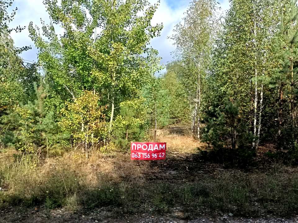 1876773963626111