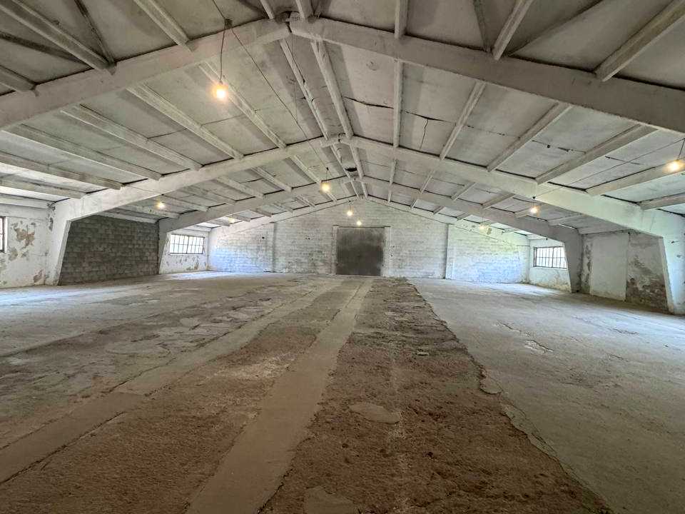 1876936558253754