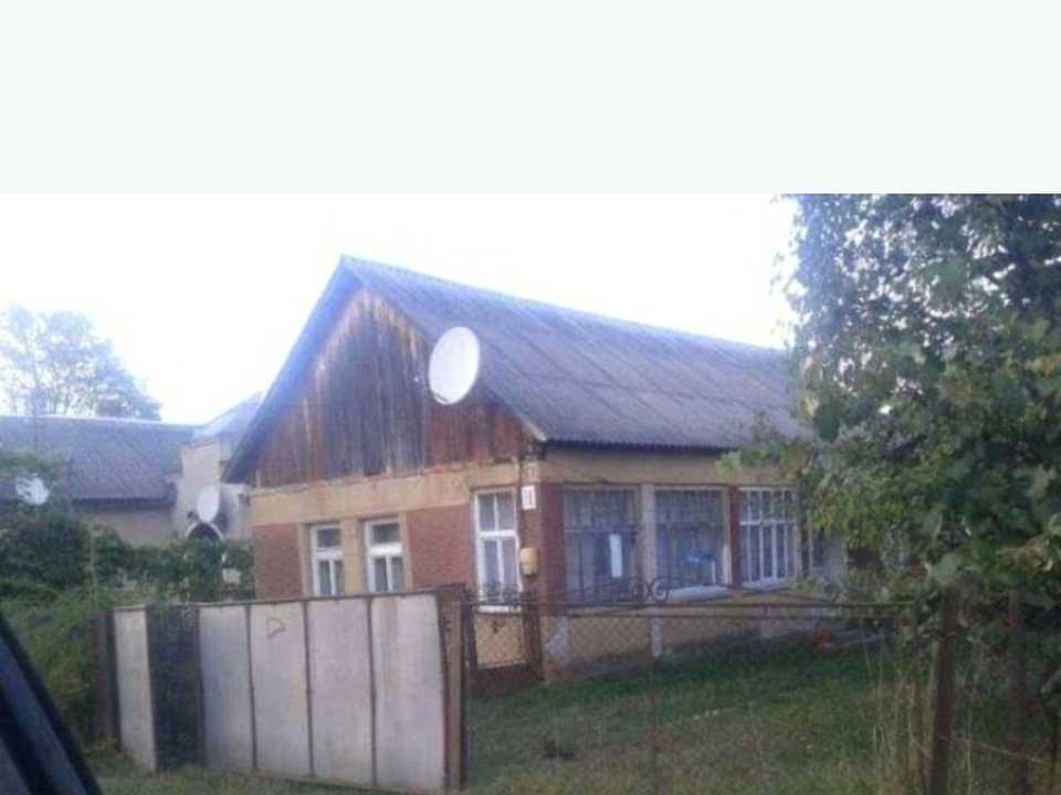 1877094218283331