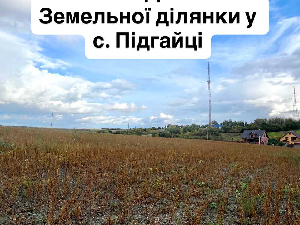 1877123326747130