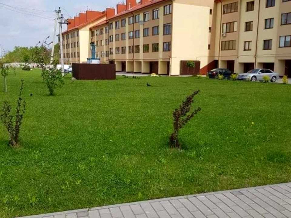 1877147748317393
