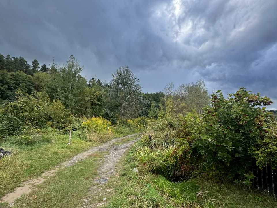 1877215564600531