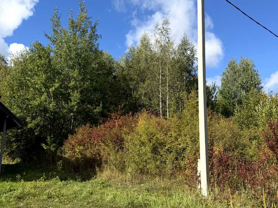 1877297581125253