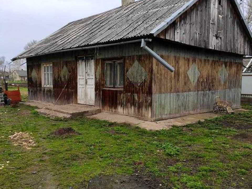 1877304233519671.jpg