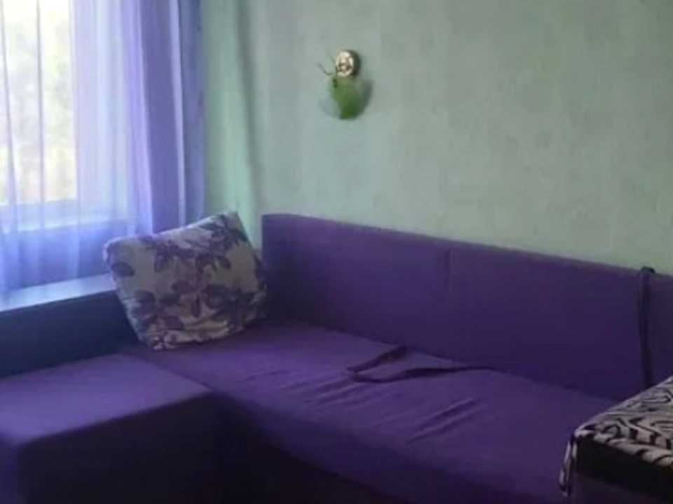 1877308940098253