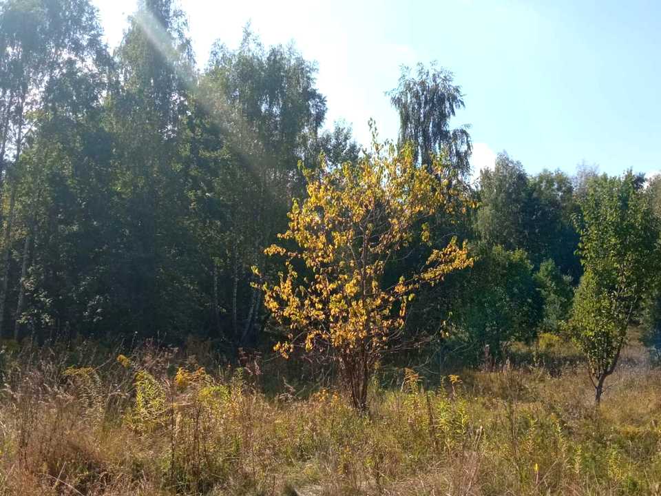 1877370244104827