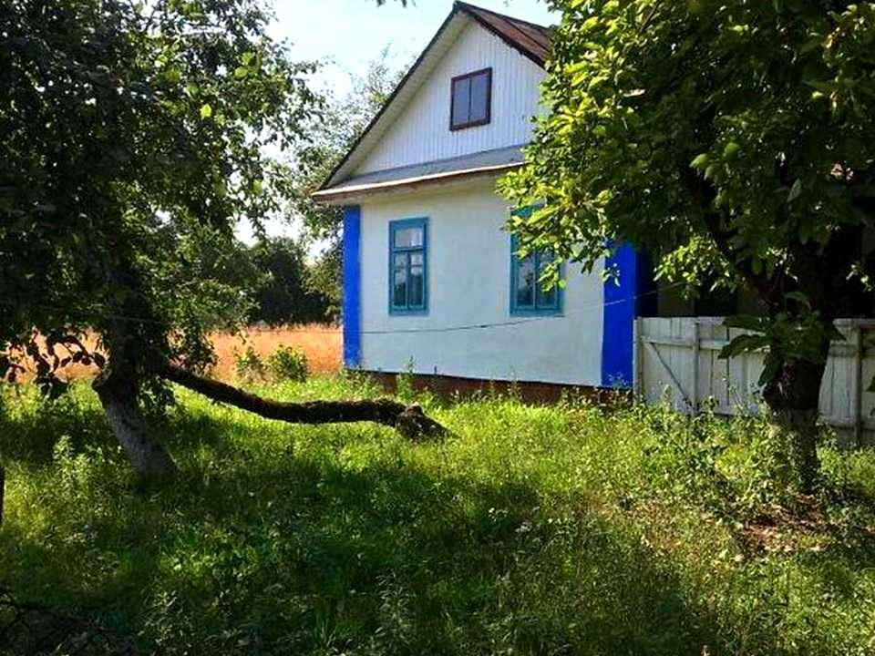 1877411653360868