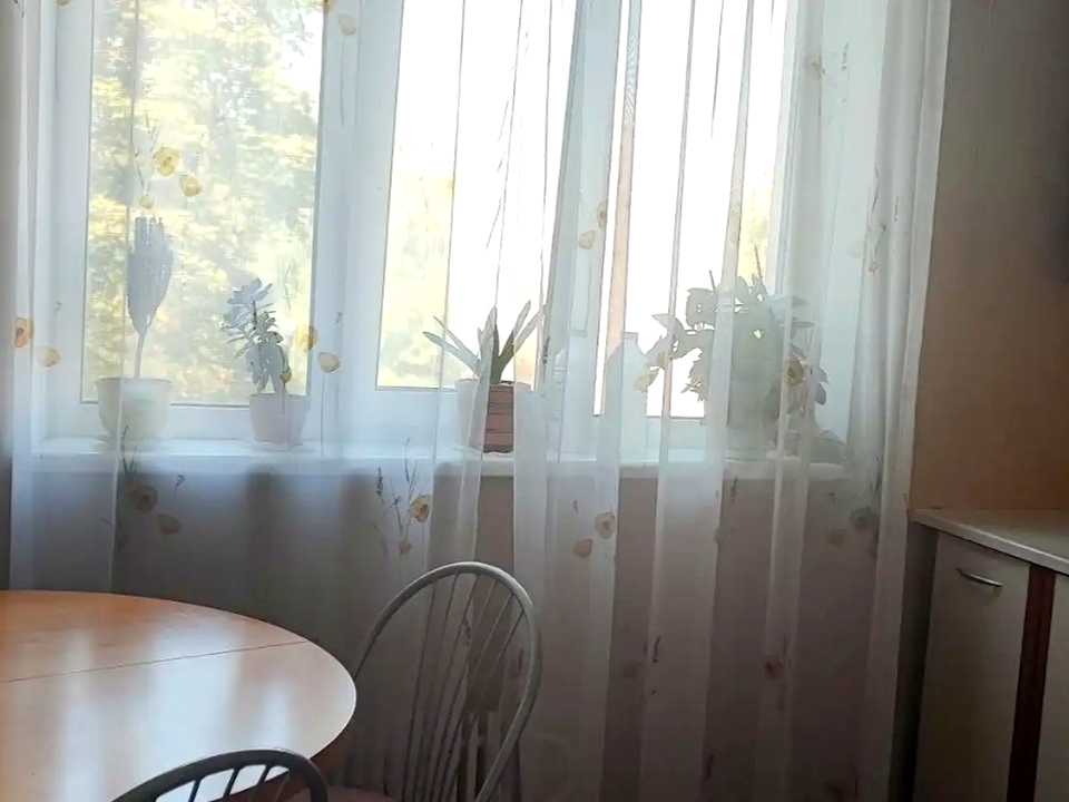 1877497102386766