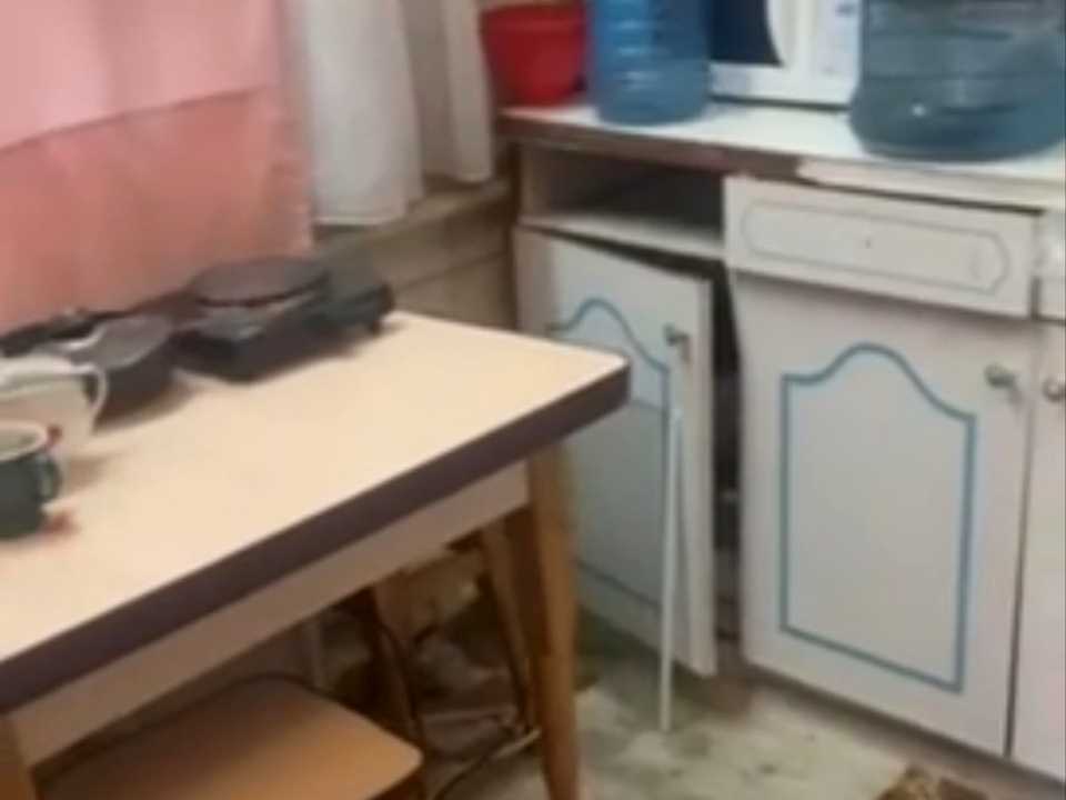 1877567643519981
