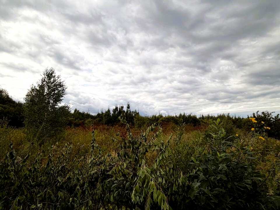 1877572265432197