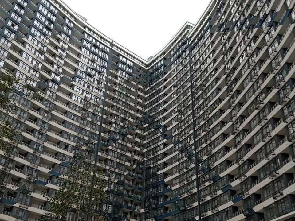1877664097443246