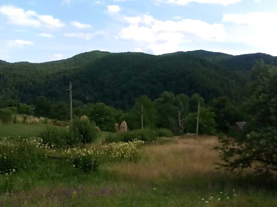 1877744248970762