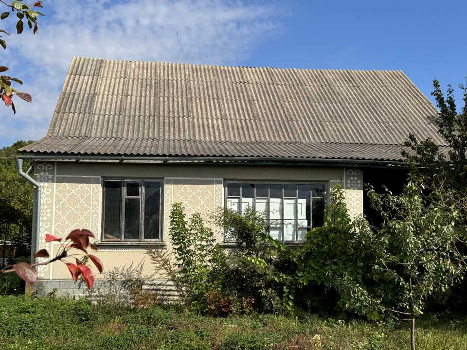 1877751111568749.jpg