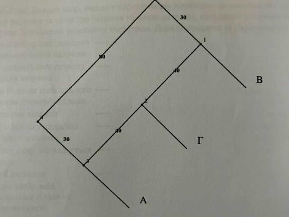 1877771005769544.jpg