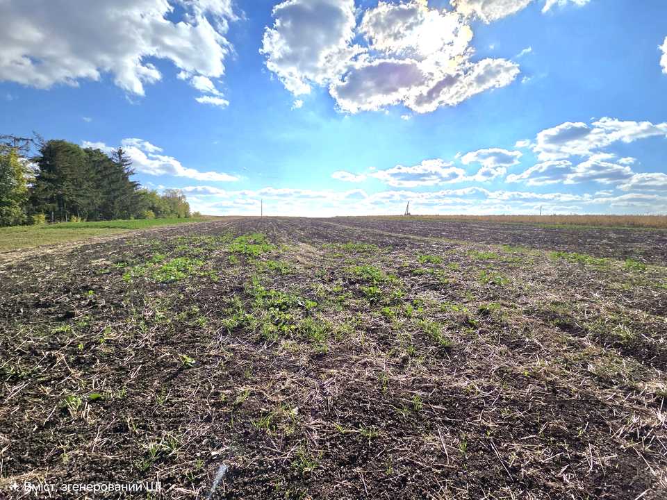 1877852684378574.jpg