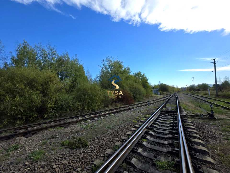 1877856301806565.jpg