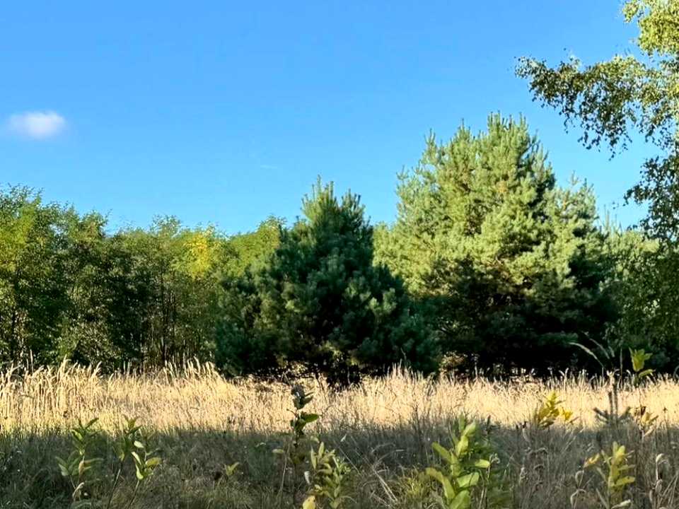 1877867314989144