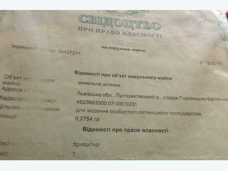 1877880325988602.jpg
