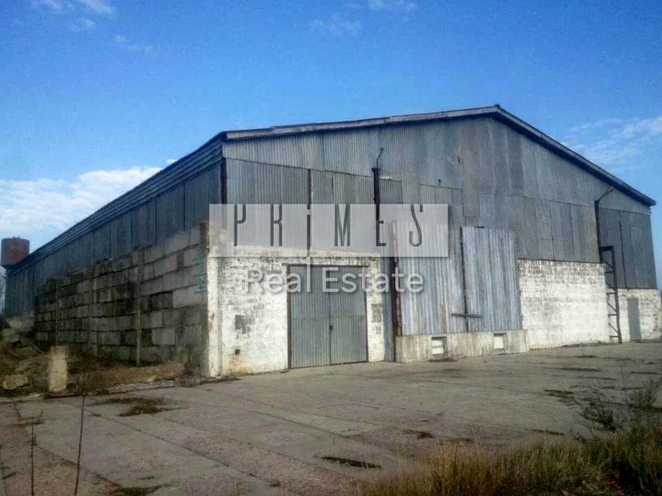 1877932422756916