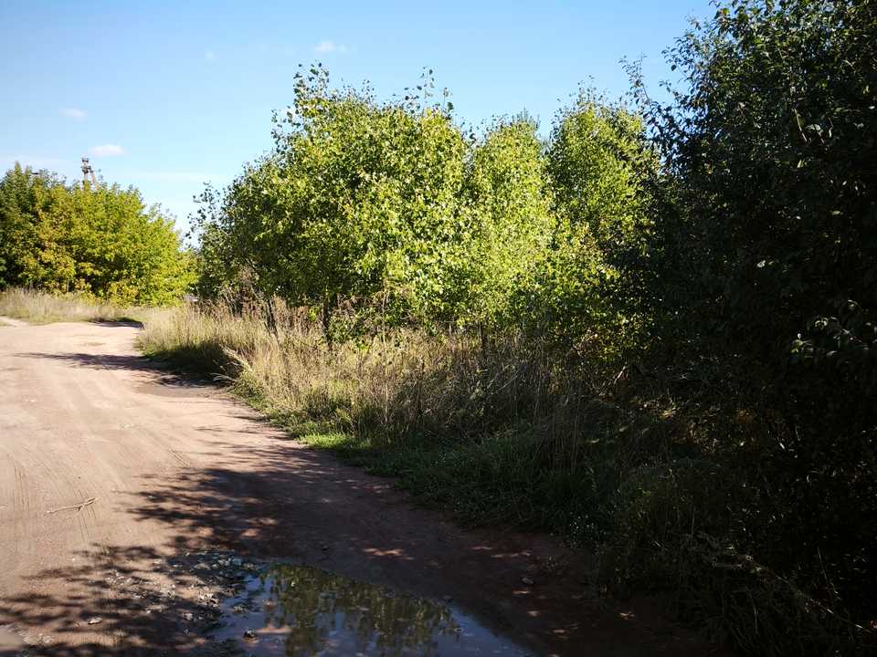 1878216056966855