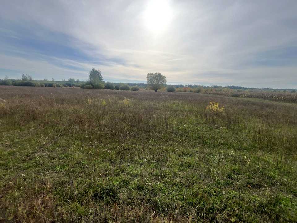 1878301188366320