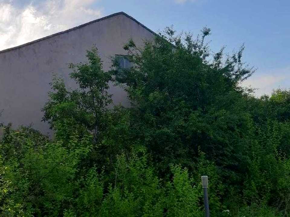 1878391318200700.jpg