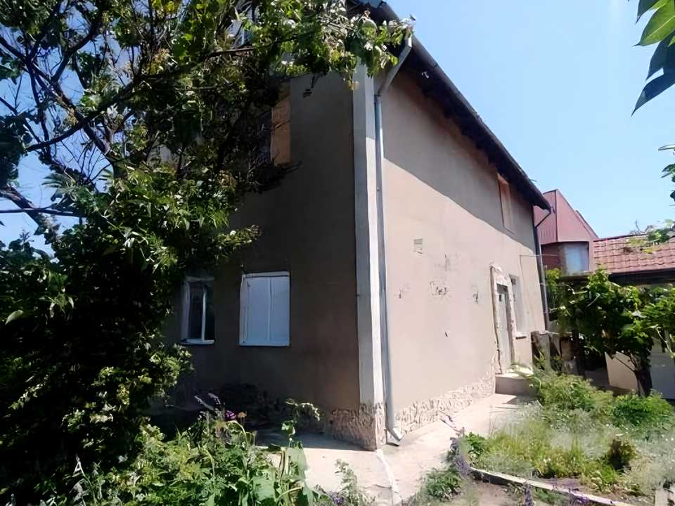 1878582176115556