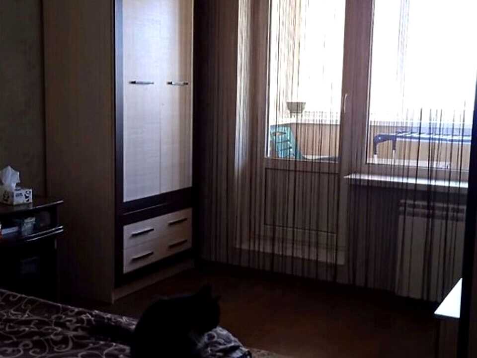 1878848347231773