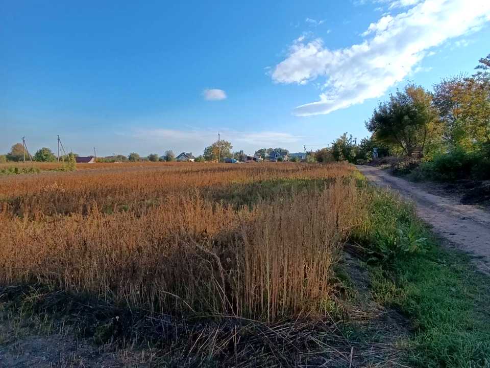 1878942557352506