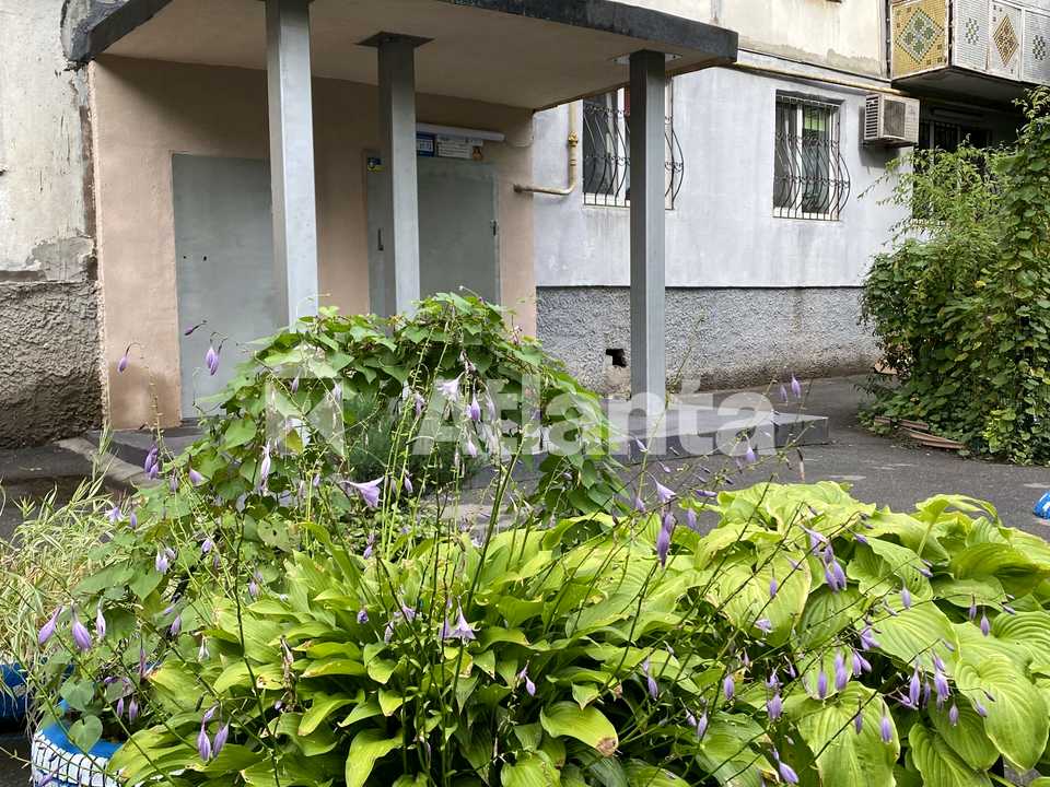1879107512620915