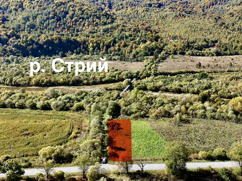 1879117375769649