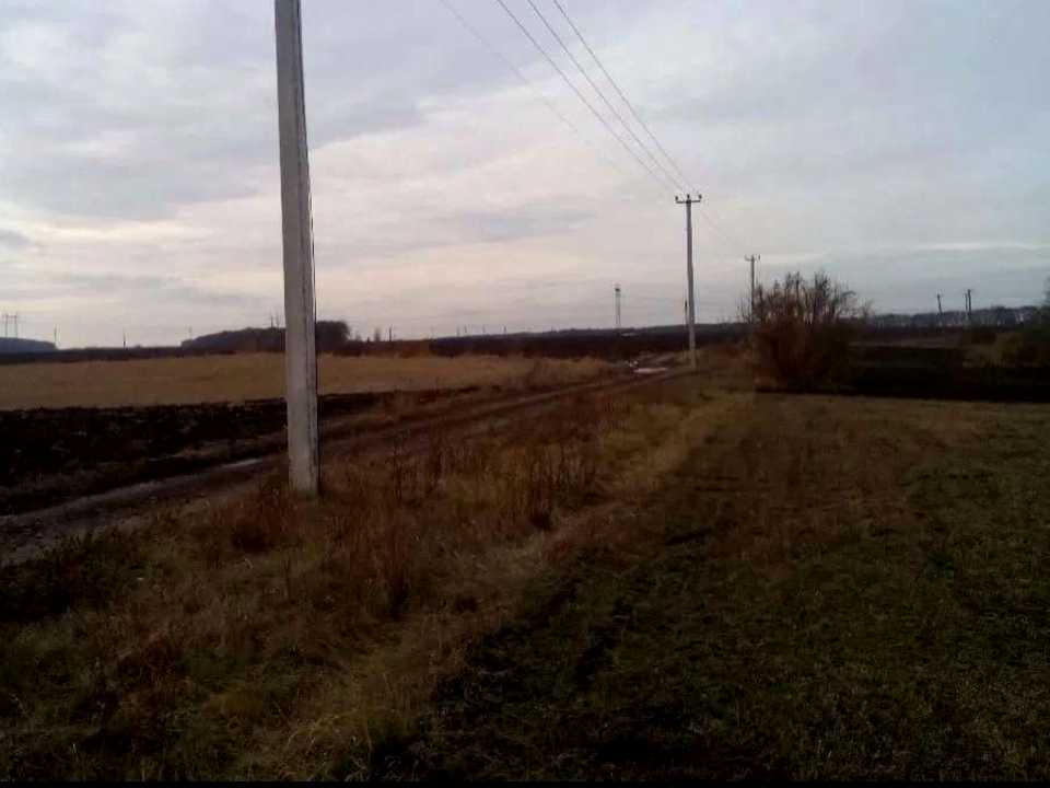 1879209354901989