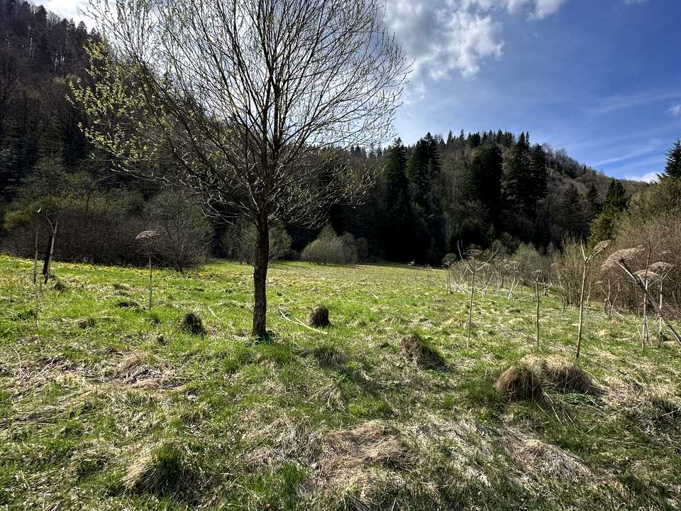 1879405167781383