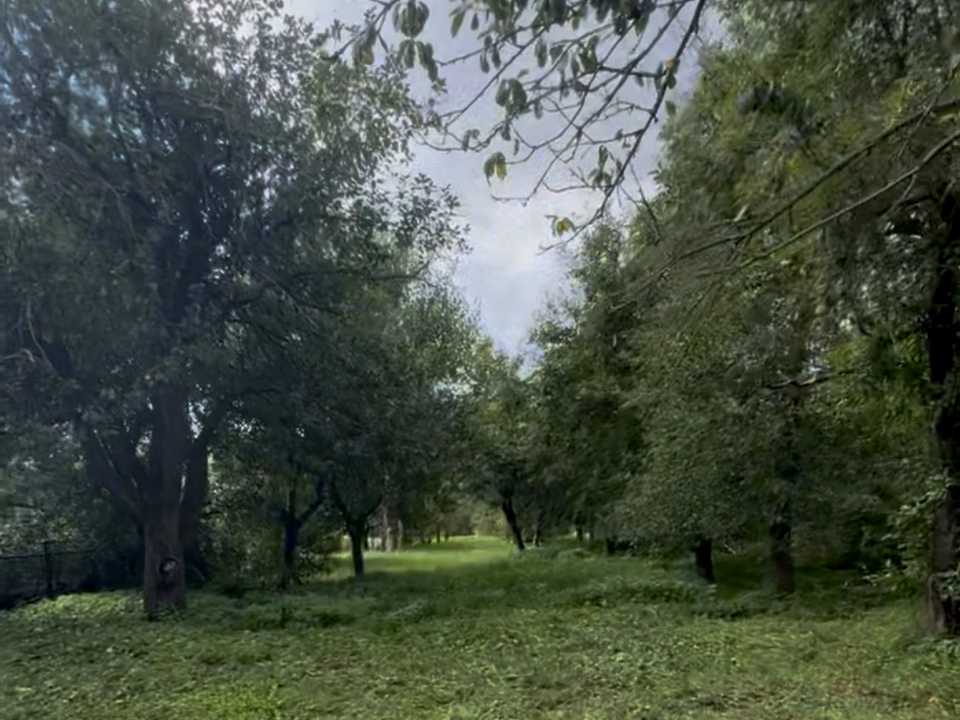 1879423220497602