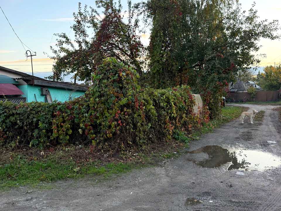 1879691362821158
