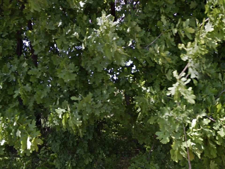 1880137775096329