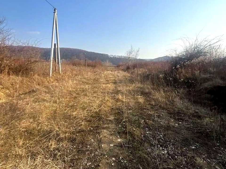 1880291241189348