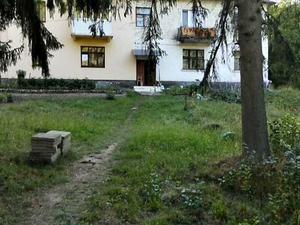 1880574478387283.jpg