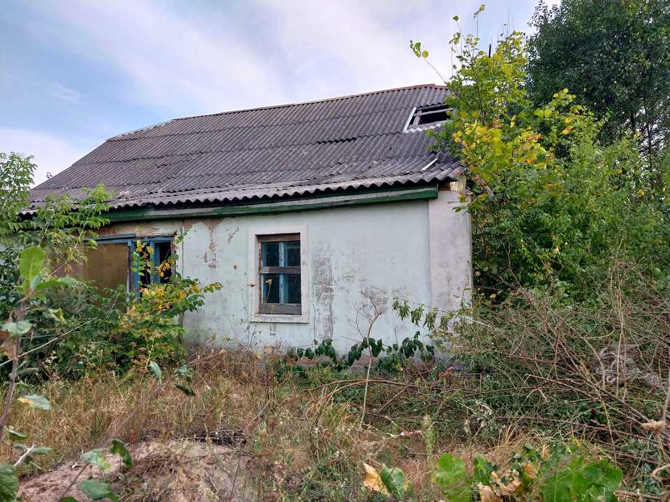 1810086151517722