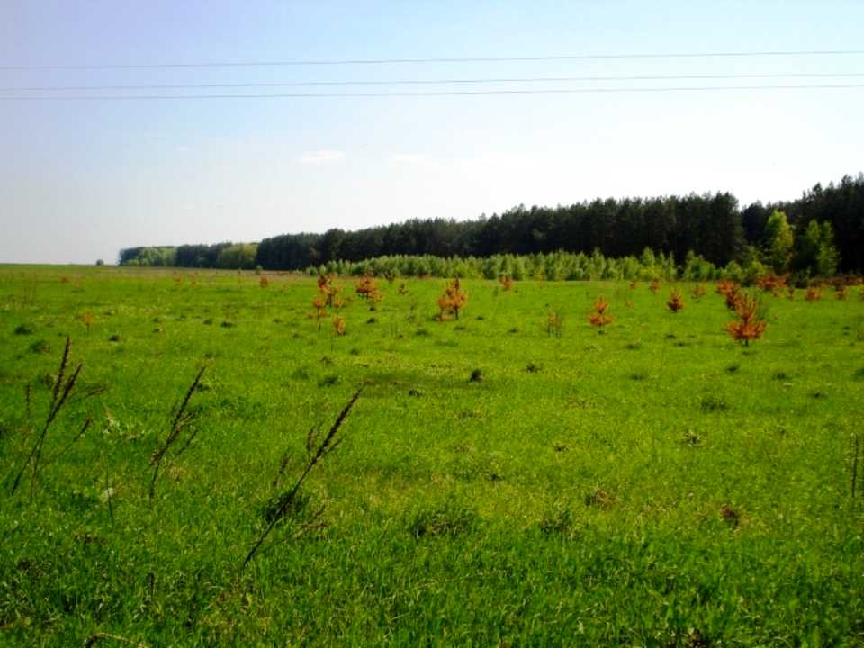 1822686498800791
