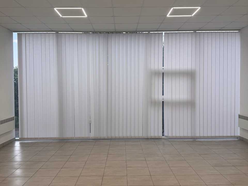 1849419203677010