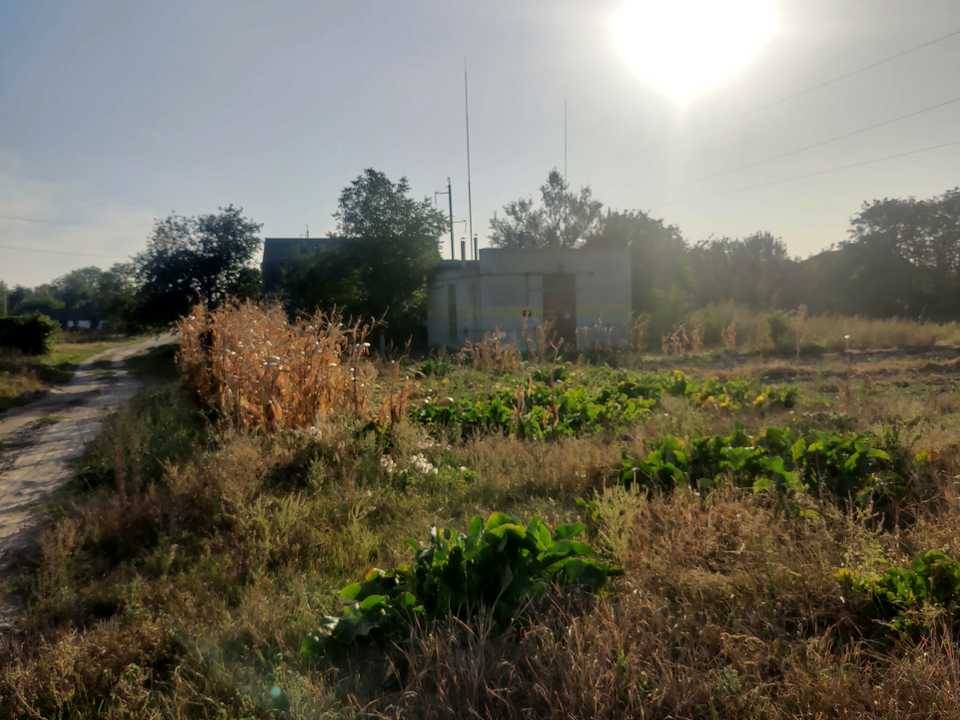 1825201953065627