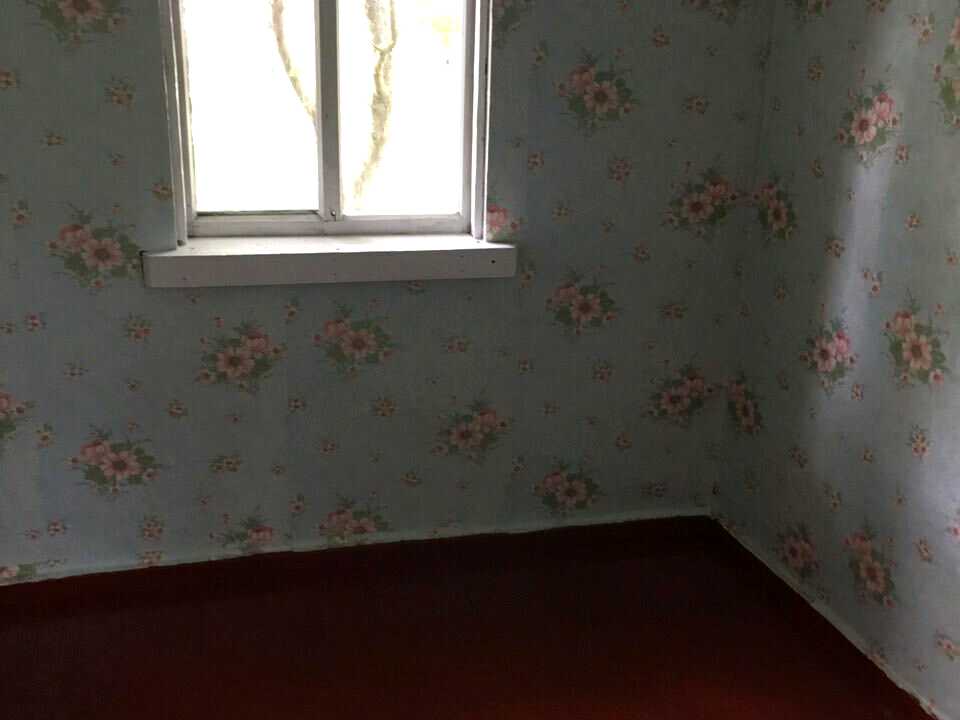 1775748070113233