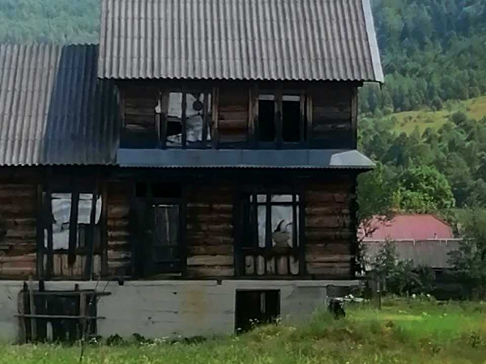 1843313268429614