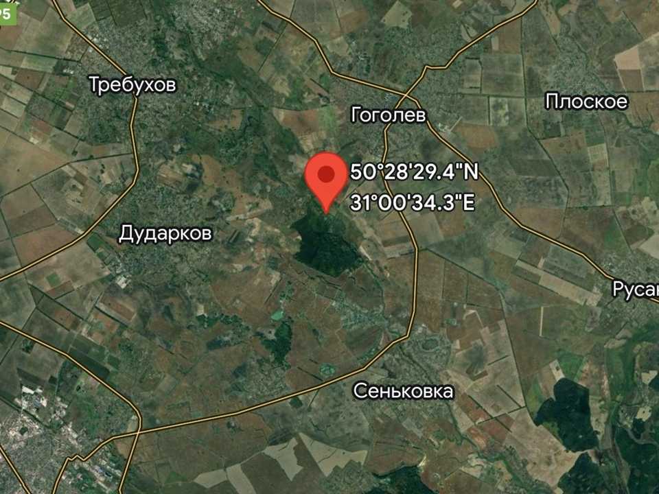 1807542805195247