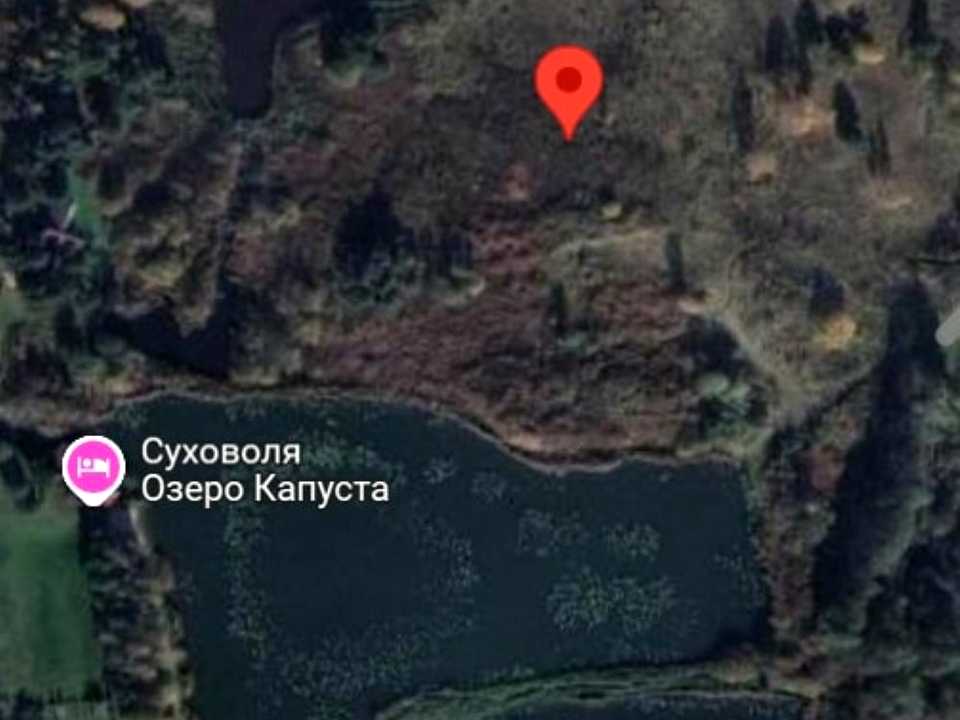 1829651865503820