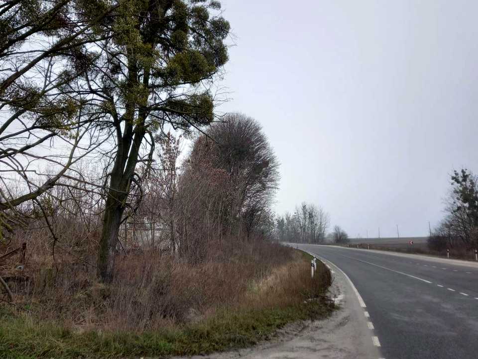 1755361760704782