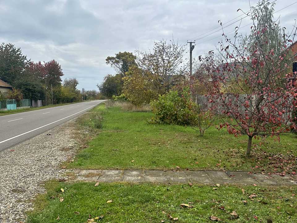1846299352391018