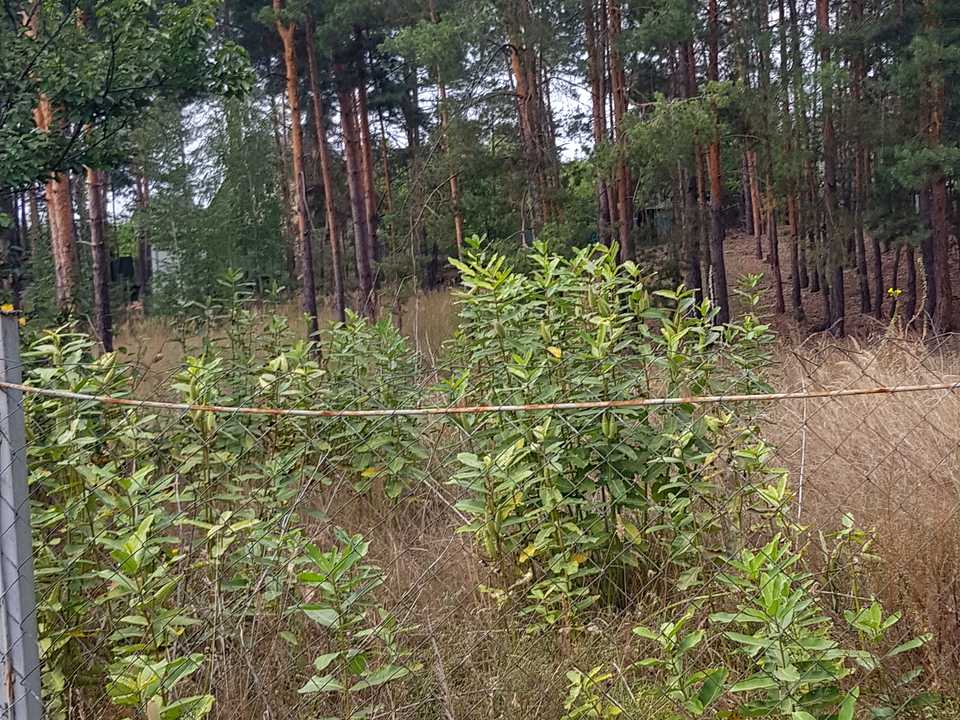 1743520857419310