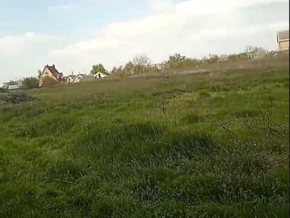 1830640993882954